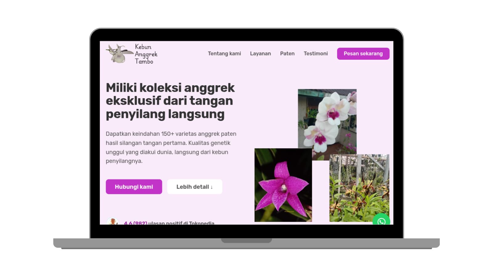 Website Florist & Anggrek